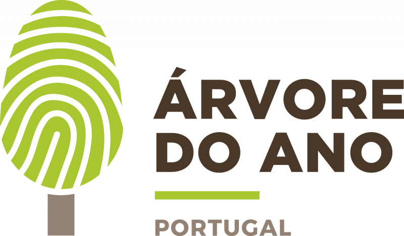 Aberta votação para Árvore do Ano